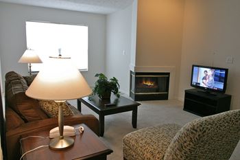 Gas fireplace